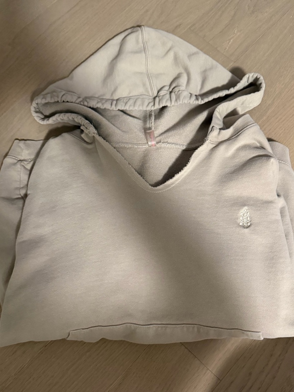 Free People Best of Hoodie